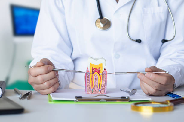 Best Walk-In Emergency Dentist in Colony Rk, PA